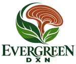 logoeverrgreendxn